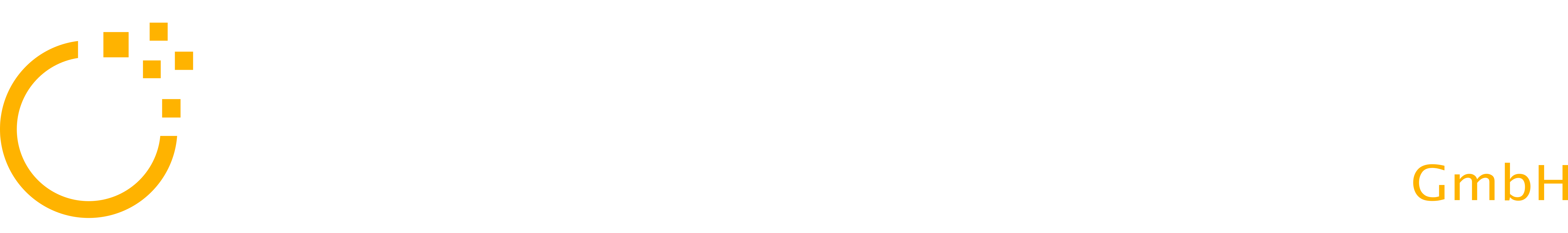 Digital MoveS GmbH