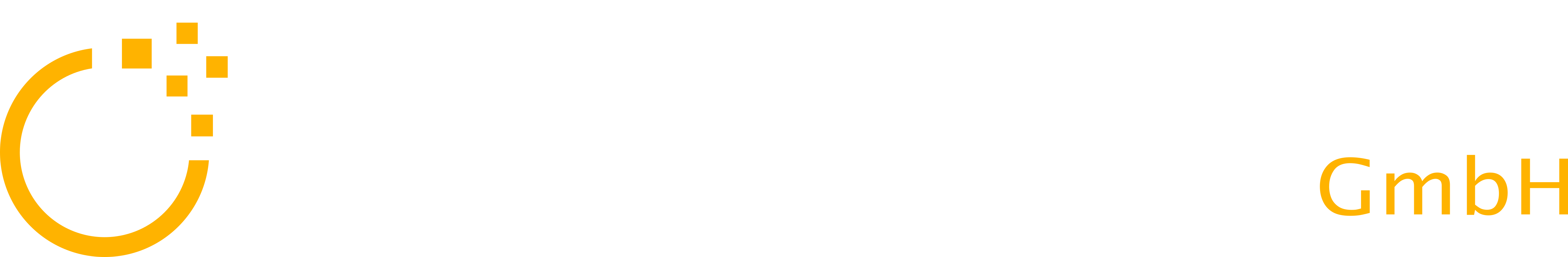 Digital MoveS GmbH